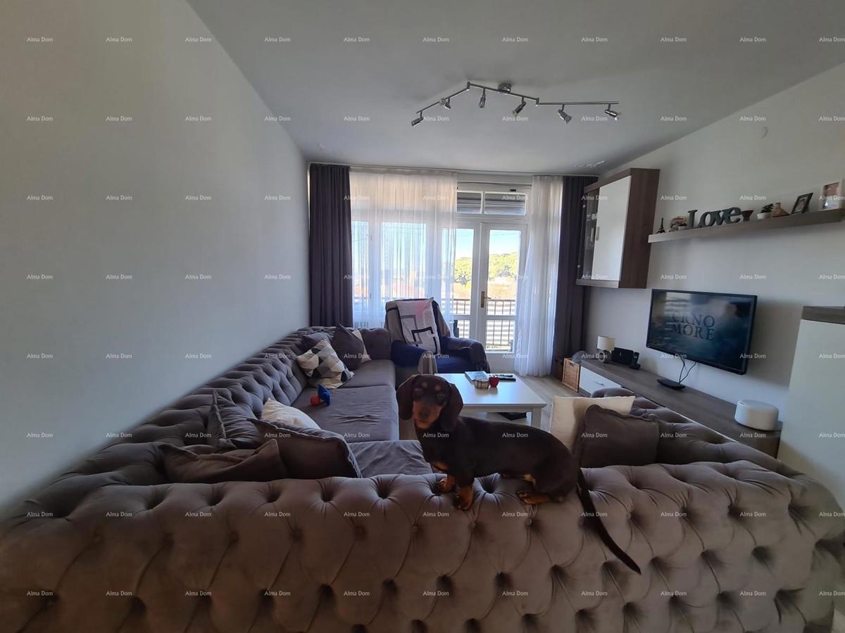 VENDITA APPARTAMENTO – ŠIJANA, PULA