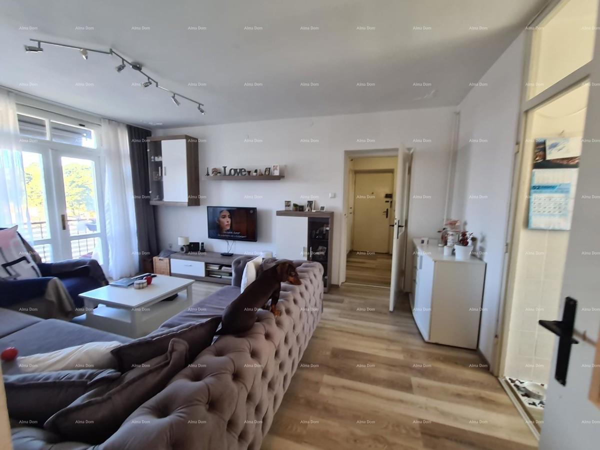 VENDITA APPARTAMENTO – ŠIJANA, PULA