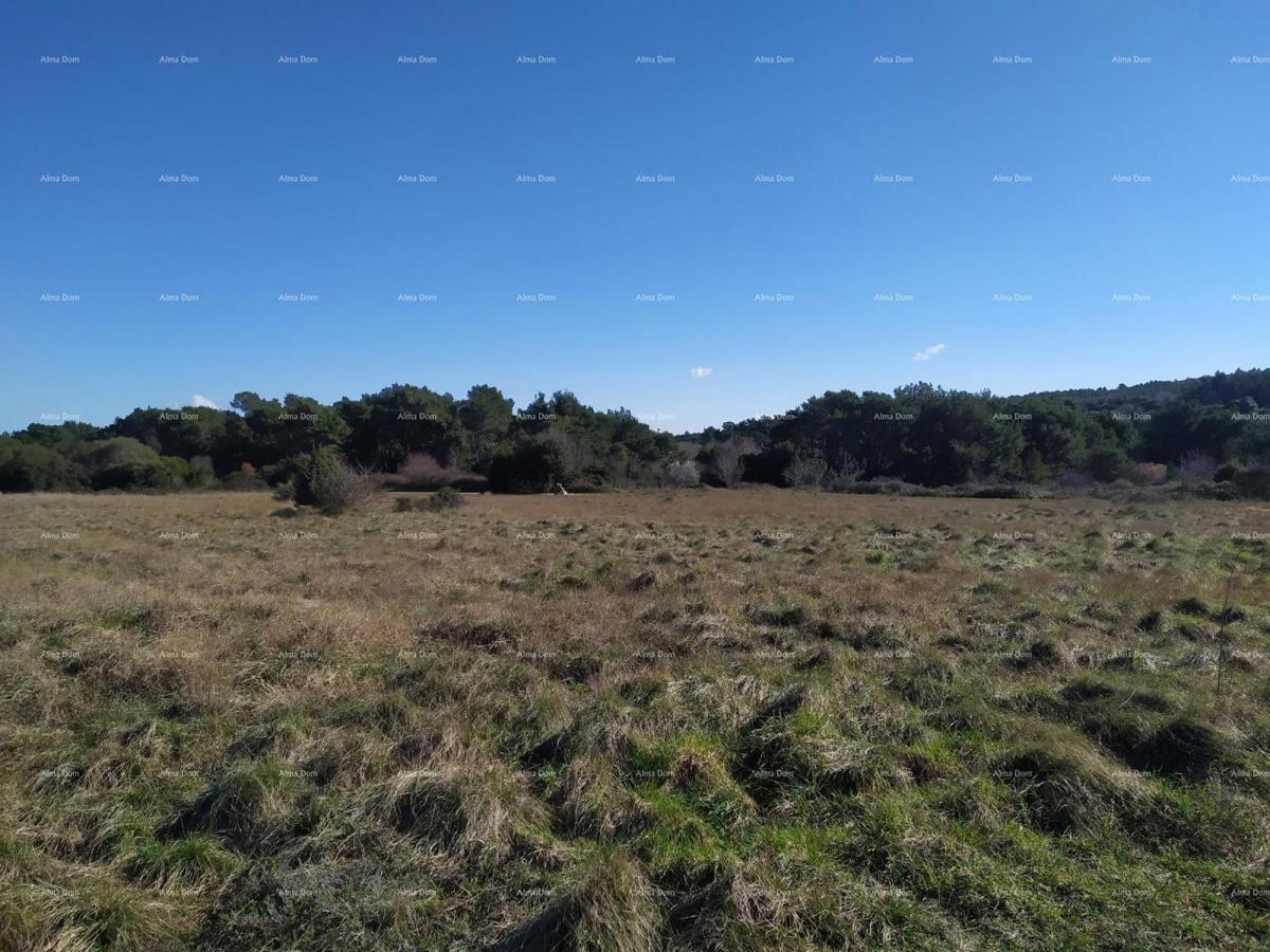 TERRENO EDILIZIO, 1164 m2 – VOLME