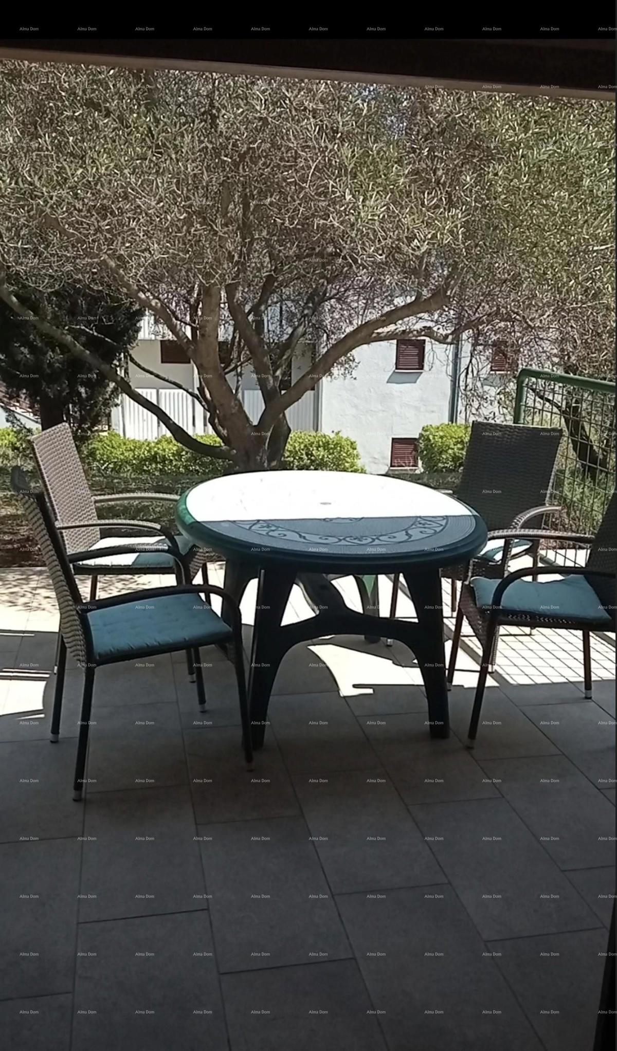 DUGA UVALA, APPARTAMENTO di 36 M2 al piano terra!