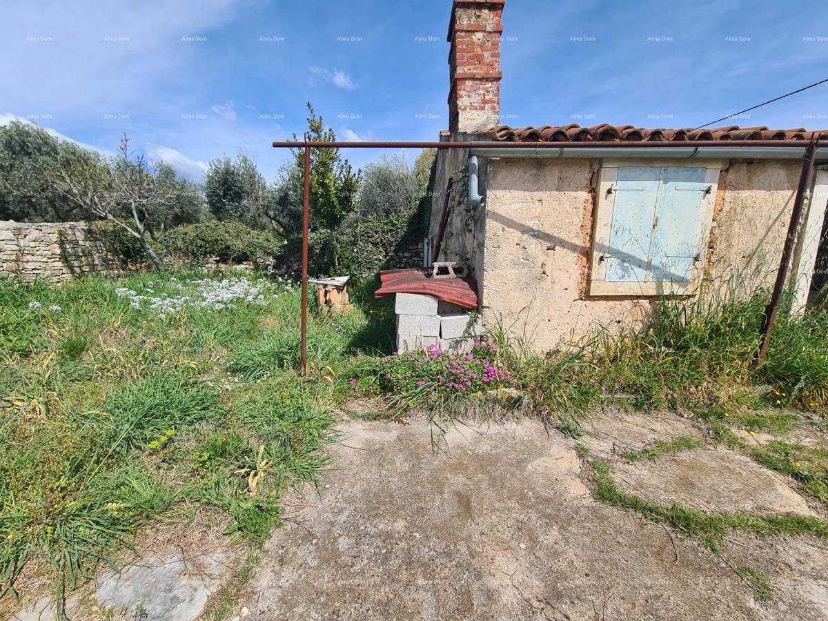 GALIŽANA - casa con diversi edifici e ottimo potenziale di ristrutturazione