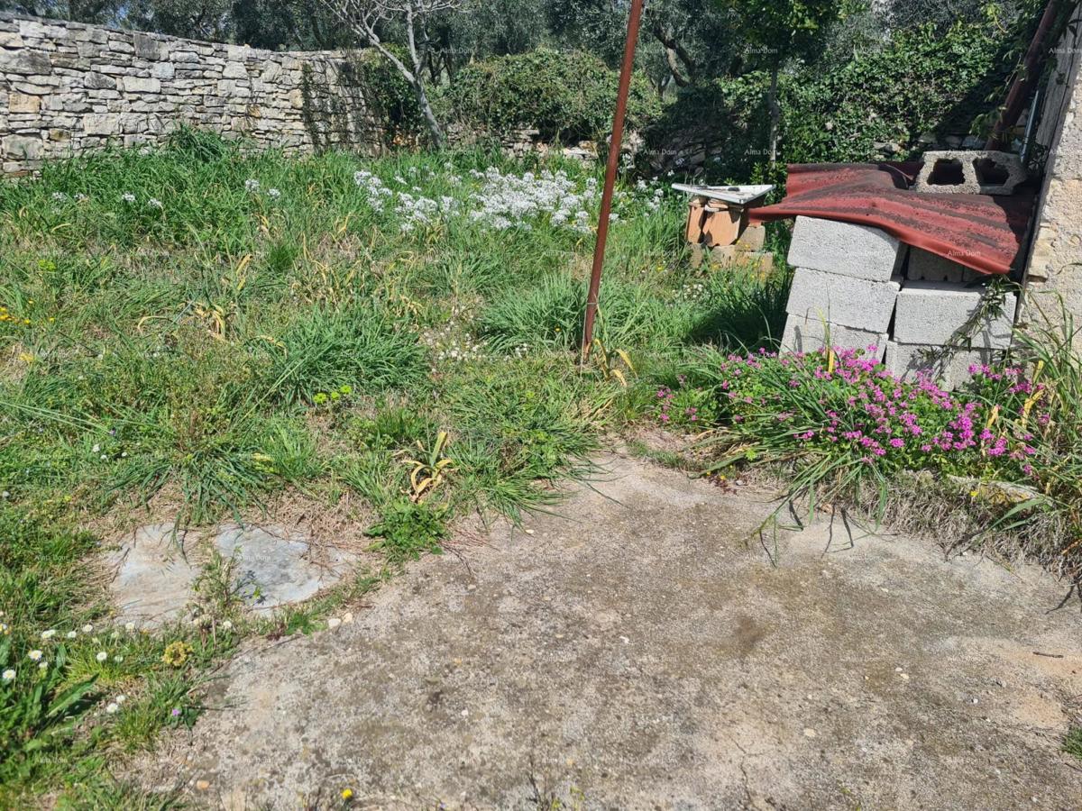 GALIŽANA - casa con diversi edifici e ottimo potenziale di ristrutturazione