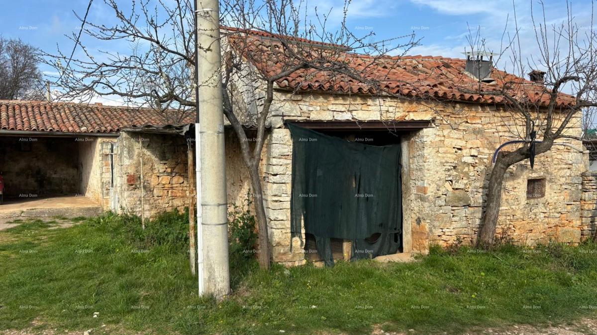 GALIŽANA - casa con diversi edifici e ottimo potenziale di ristrutturazione