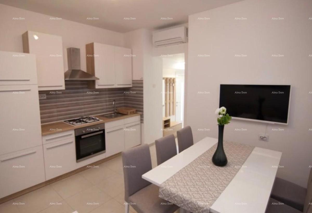 The translation of the title