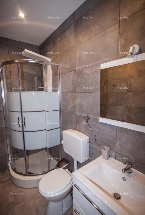 The translation of the title