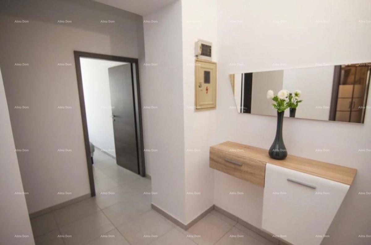 The translation of the title