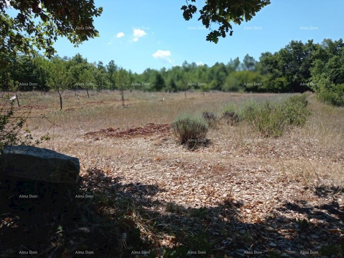 Terreno edificabile Poreč