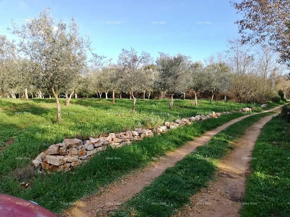 Terreno agricolo Fažana