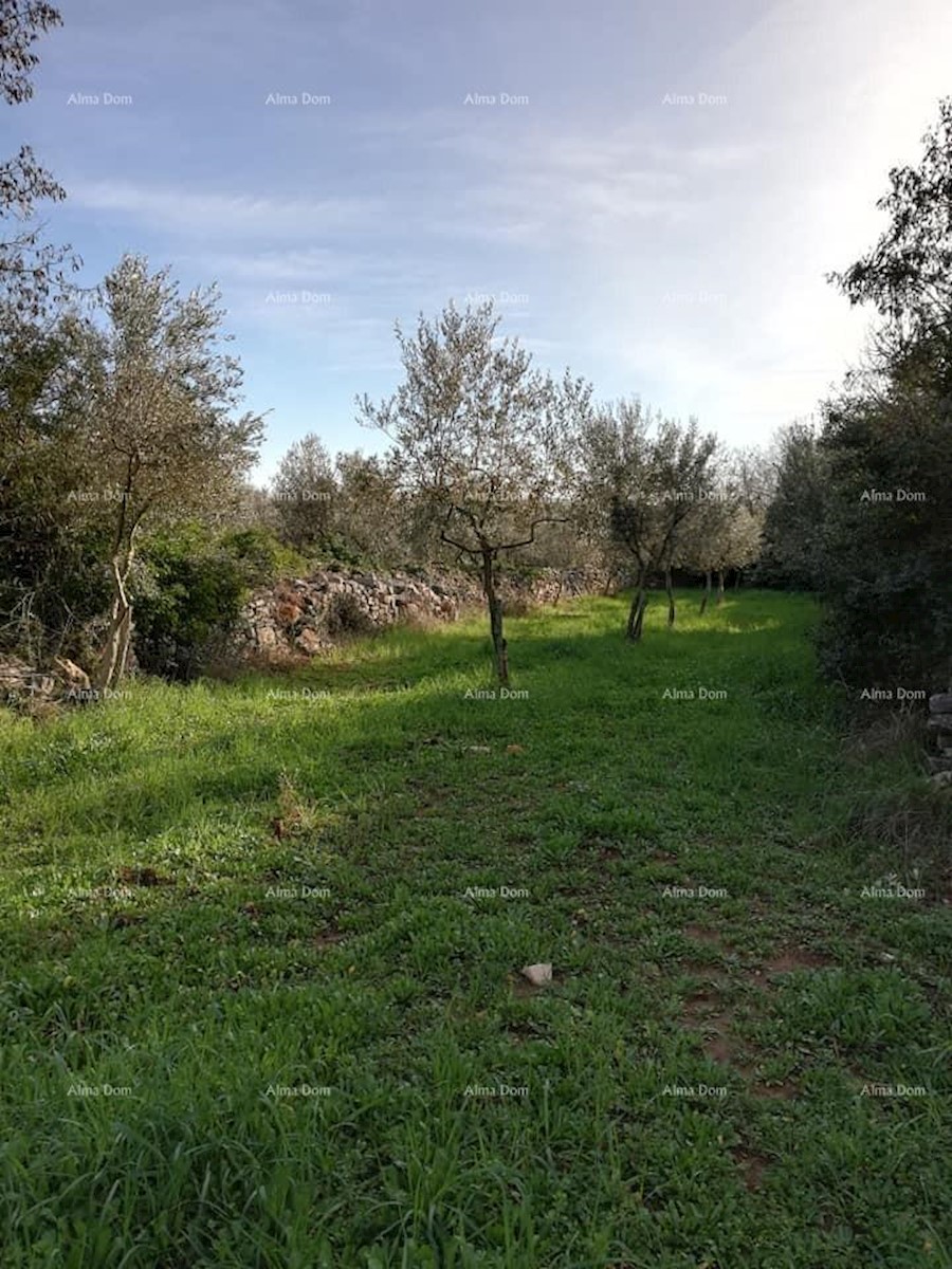 Terreno agricolo Fažana