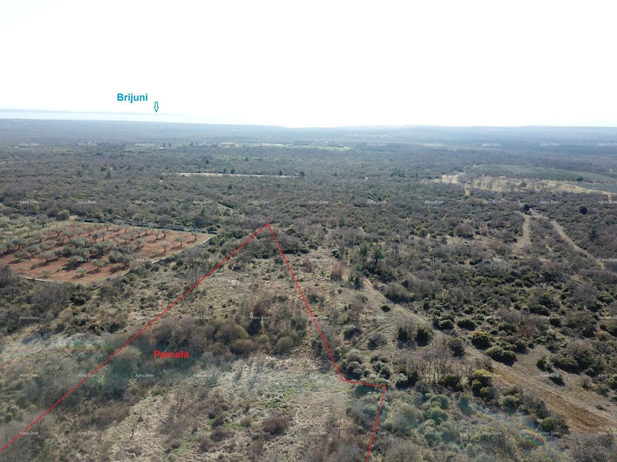 Terreno edificabile Vodnjan