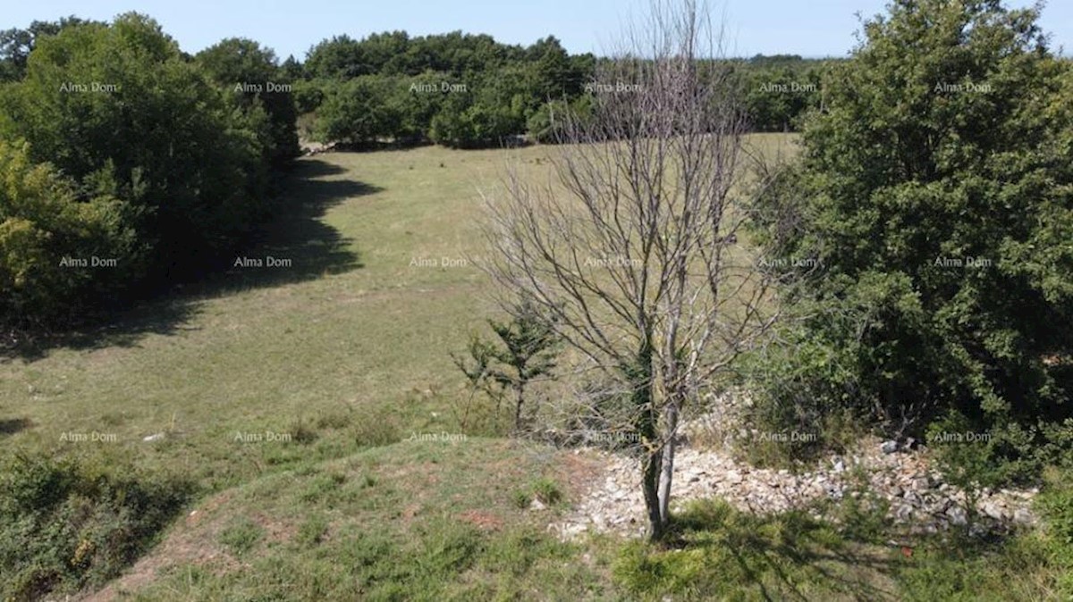 Terreni edificabili e agricoli, Juršići