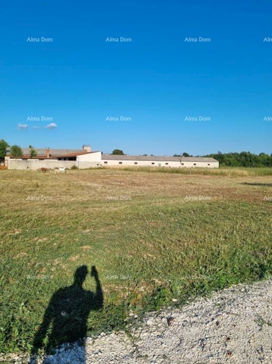 Terreno edificabile Istria, Gimino