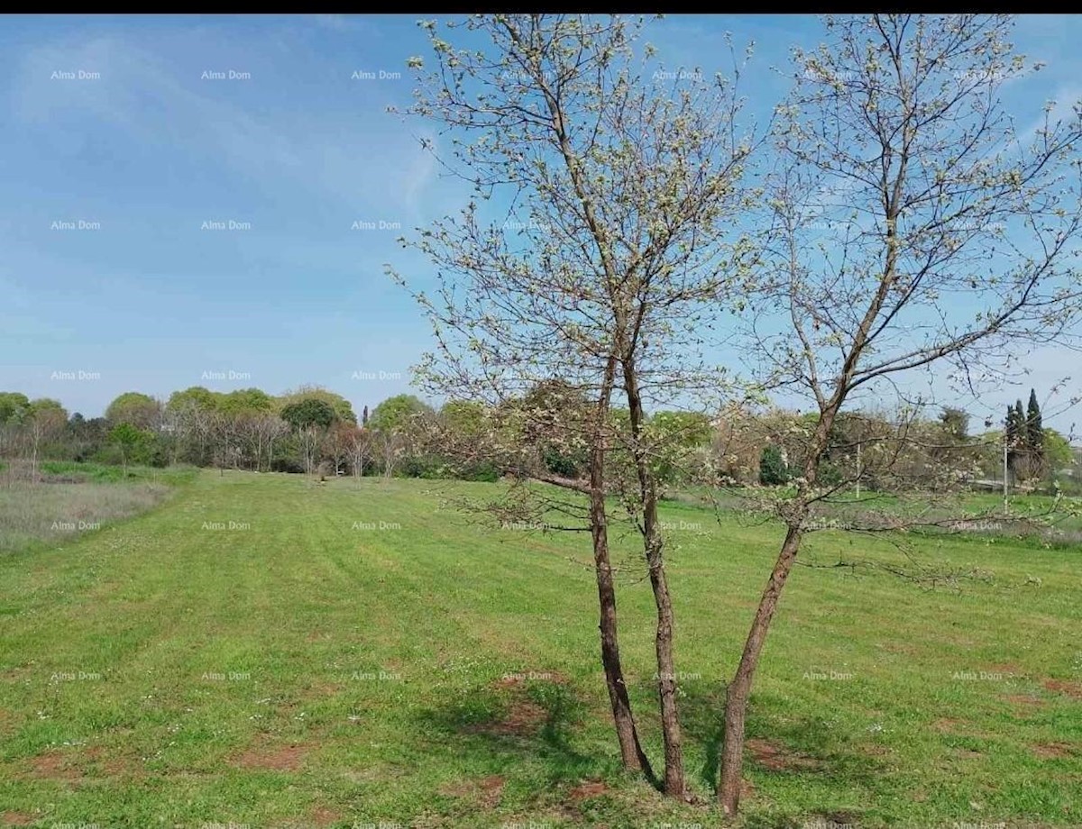 Terreno agricolo Rovinj