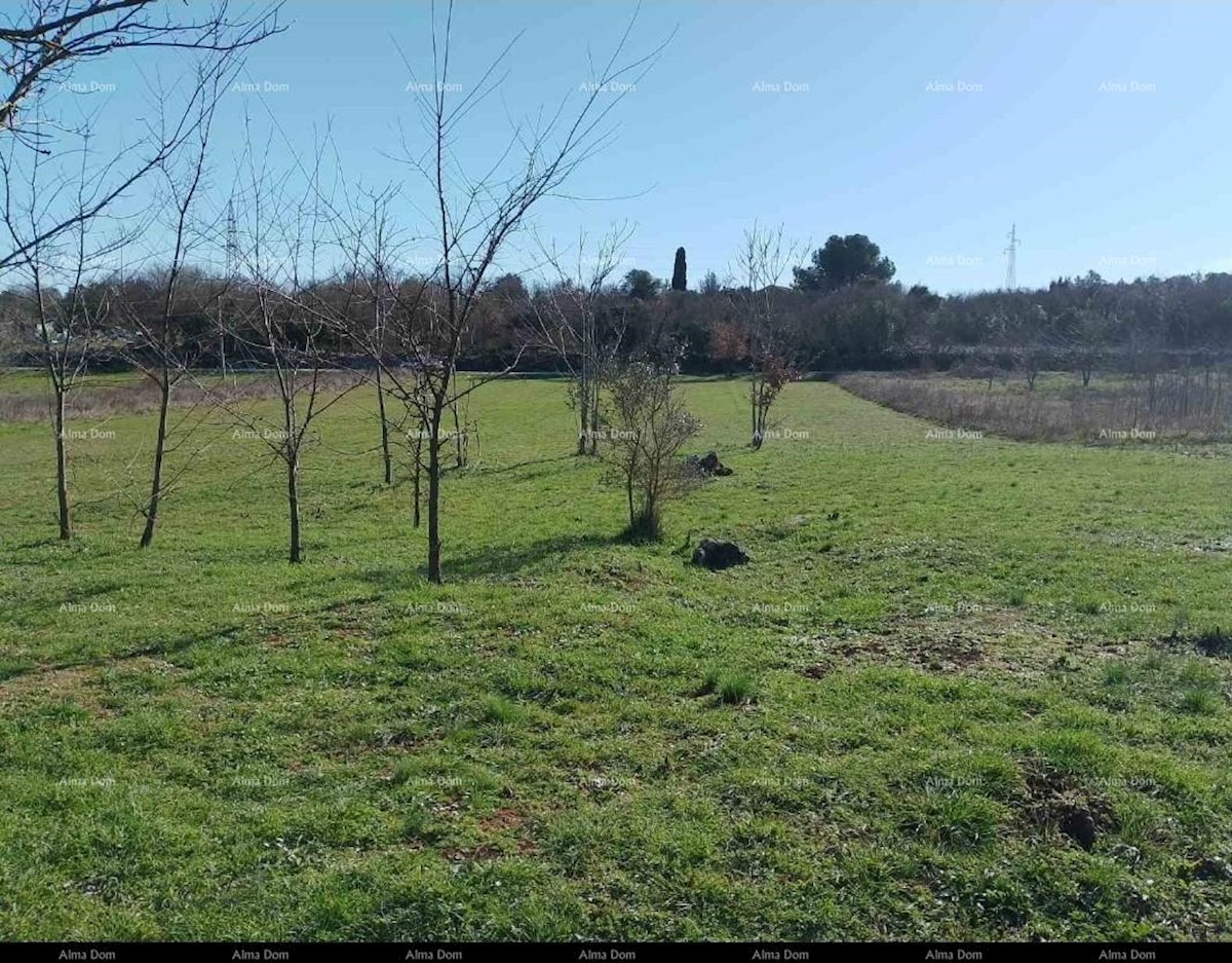 Terreno agricolo Rovinj