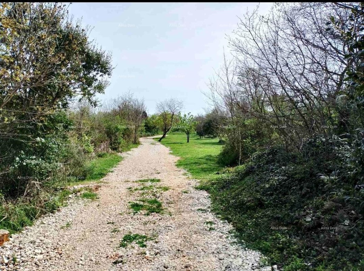 Terreno agricolo Rovinj