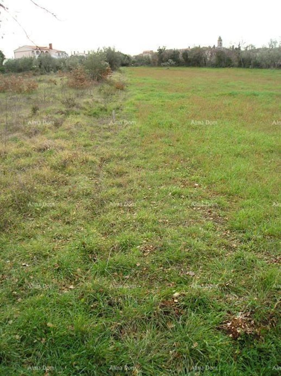 Terreno agricolo: Peroj, 2942 m2, Dignano.