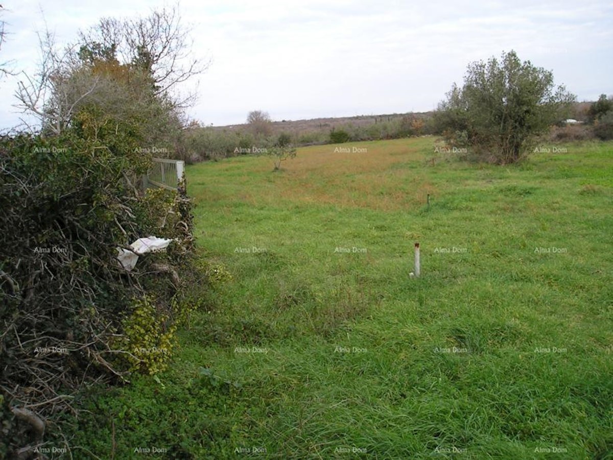 Terreno agricolo: Peroj, 2942 m2, Dignano.