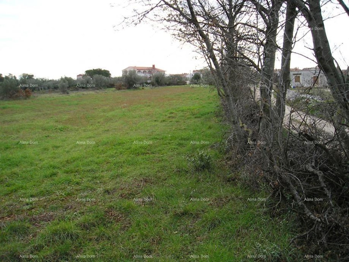 Terreno agricolo: Peroj, 2942 m2, Dignano.