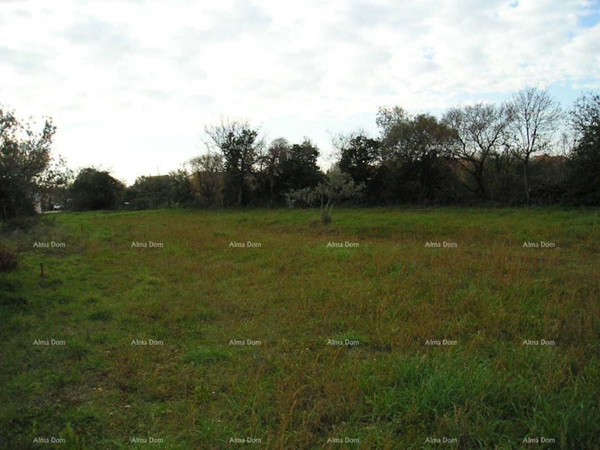 Terreno agricolo: Peroj, 2942 m2, Dignano.