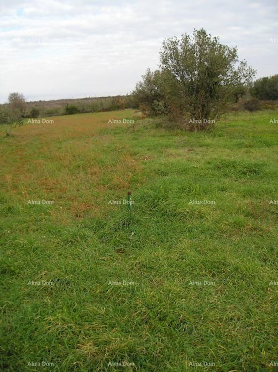 Terreno agricolo: Peroj, 2942 m2, Dignano.