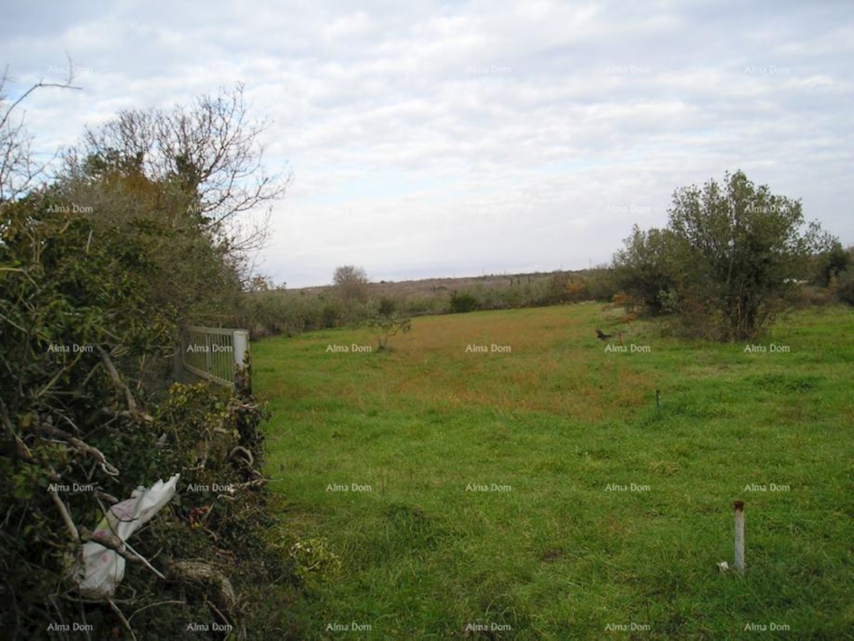 Terreno agricolo: Peroj, 2942 m2, Dignano.