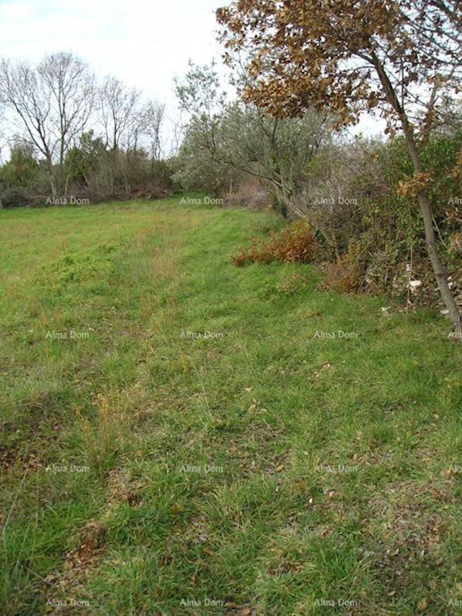 Terreno agricolo: Peroj, 2942 m2, Dignano.