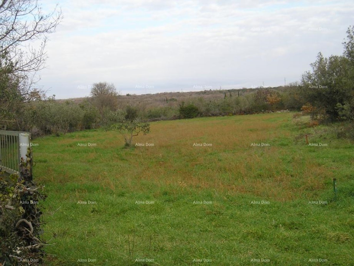 Terreno agricolo: Peroj, 2942 m2, Dignano.