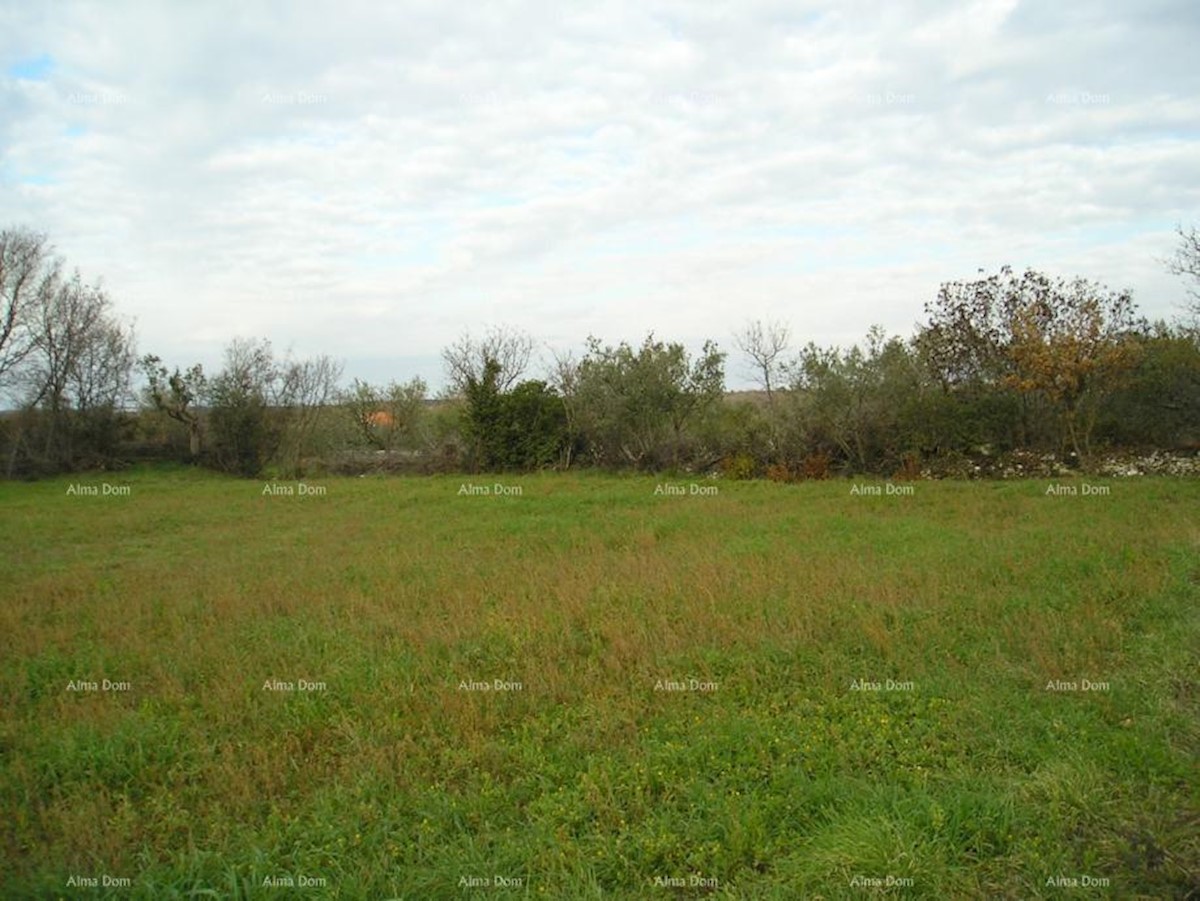 Terreno agricolo: Peroj, 2942 m2, Dignano.