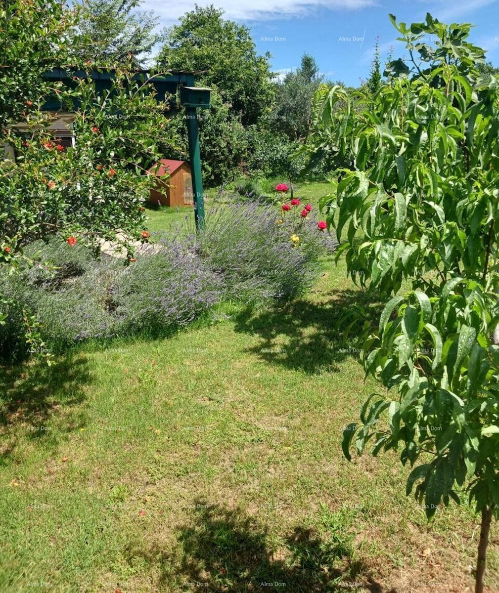 Terreno agricolo Ližnjan