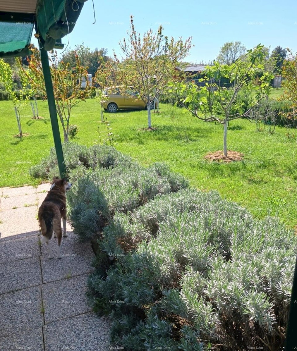 Terreno agricolo Ližnjan