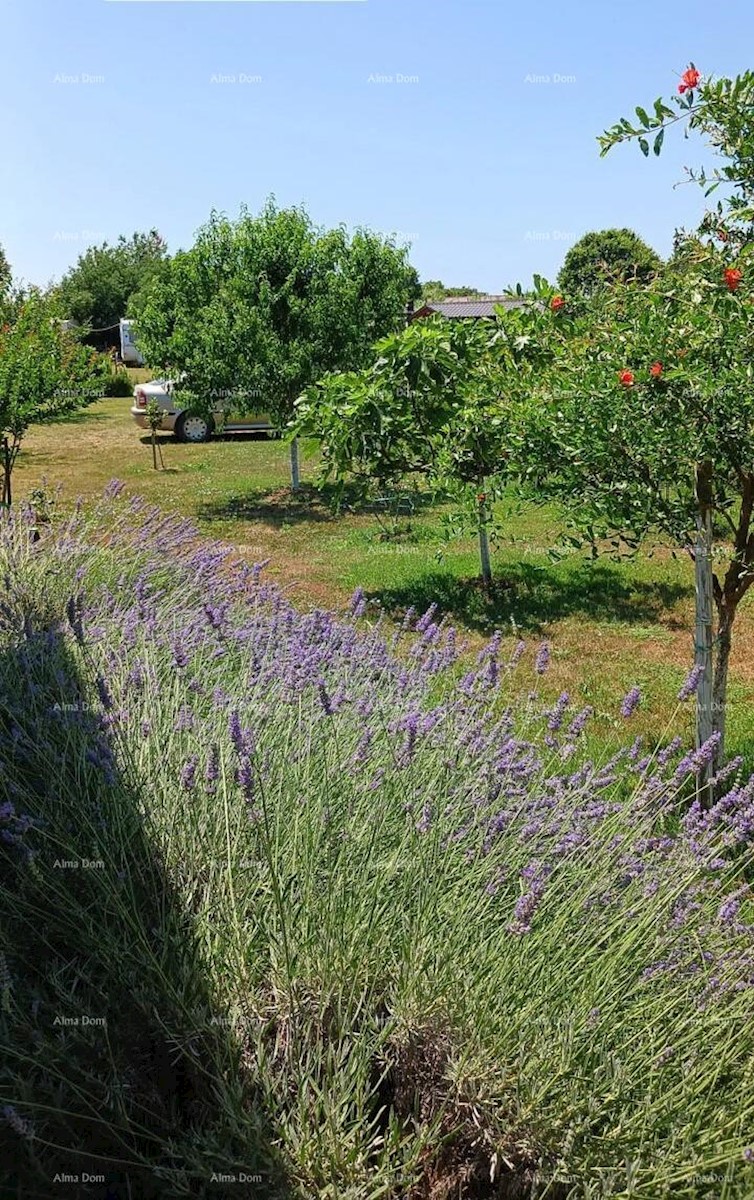 Terreno agricolo Ližnjan