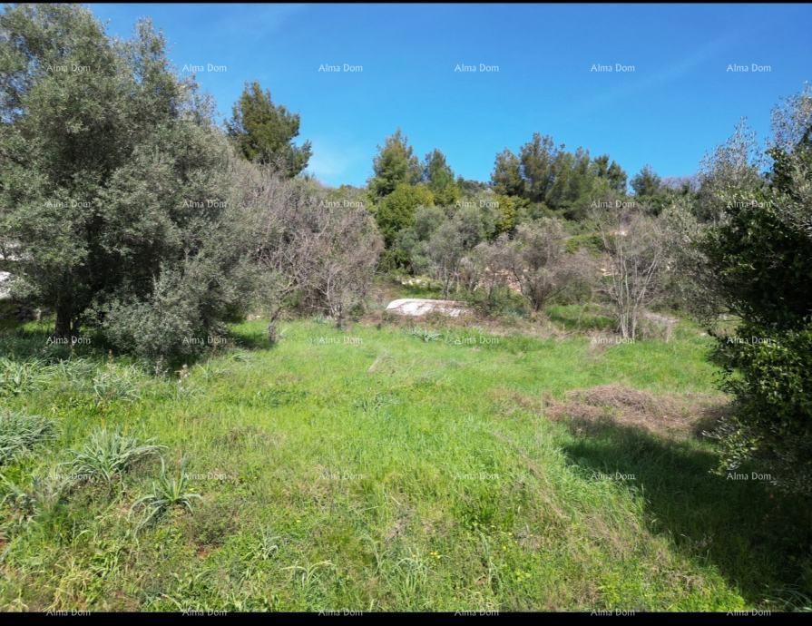 Terreno edificabile con rudere in vendita a Labin, con vista mare e progetto incluso.