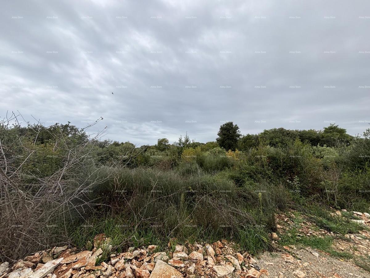 Terreno edificabile Pula