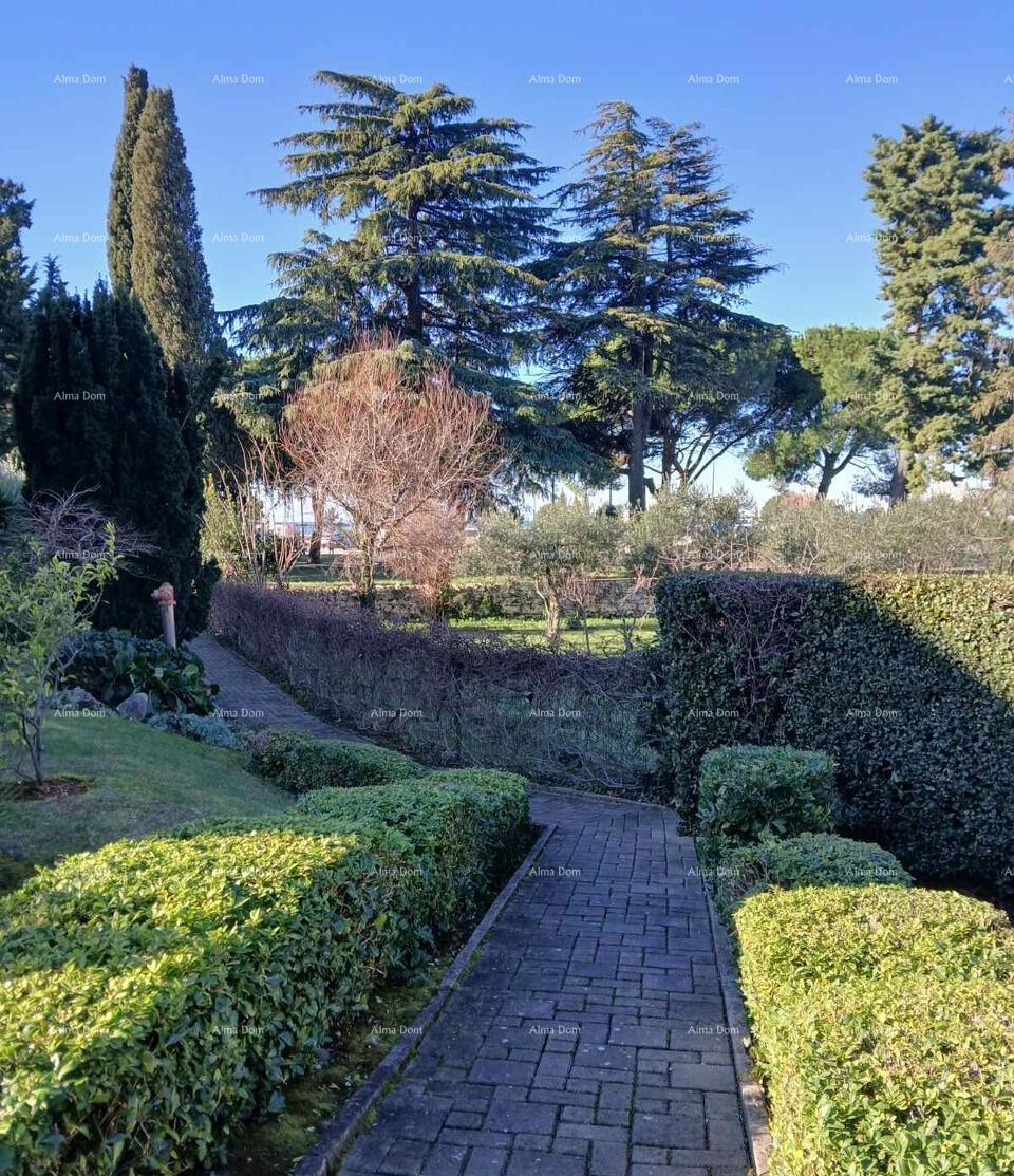 In italiano, il titolo si traduce in: