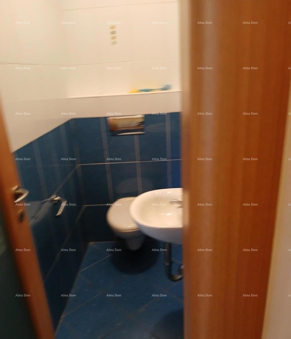 In italiano, il titolo si traduce in: