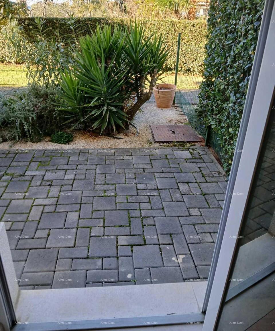 In italiano, il titolo si traduce in: