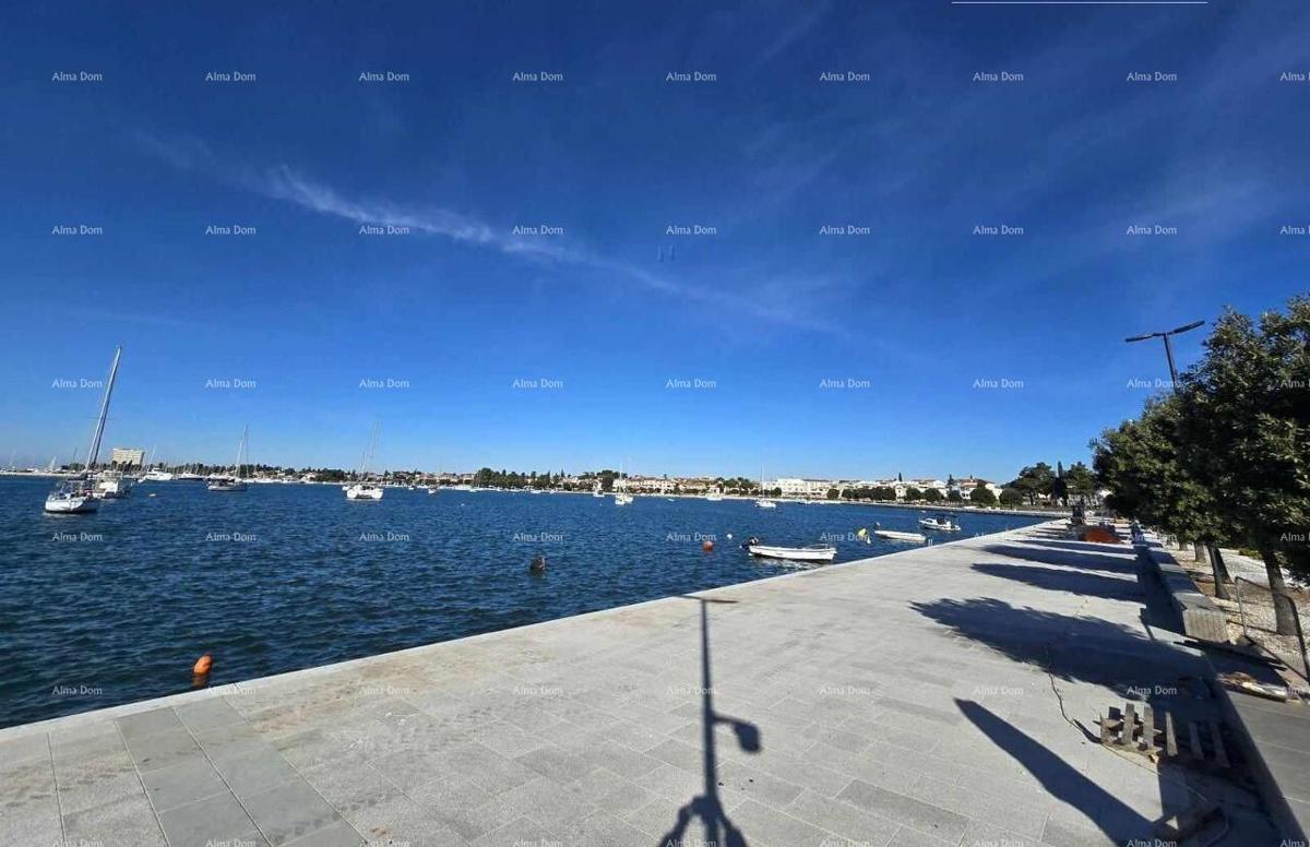 In italiano, il titolo si traduce in: