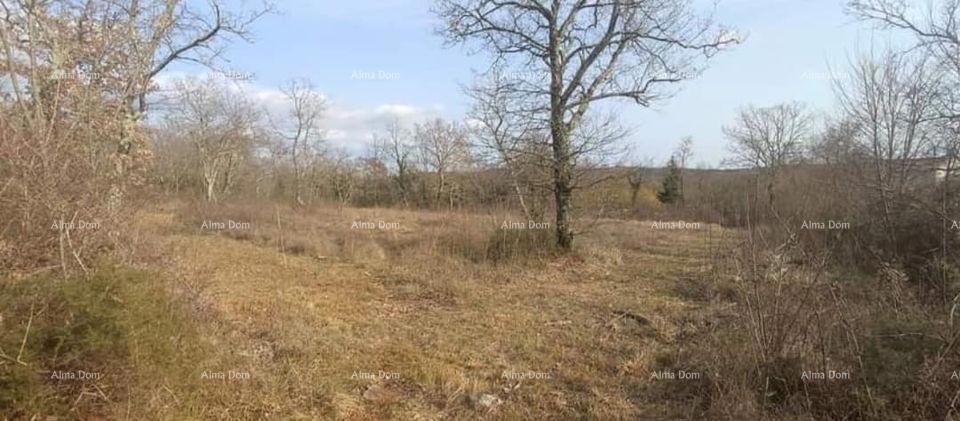 Mužići. Vendita di terreno edificabile a Grožnjan