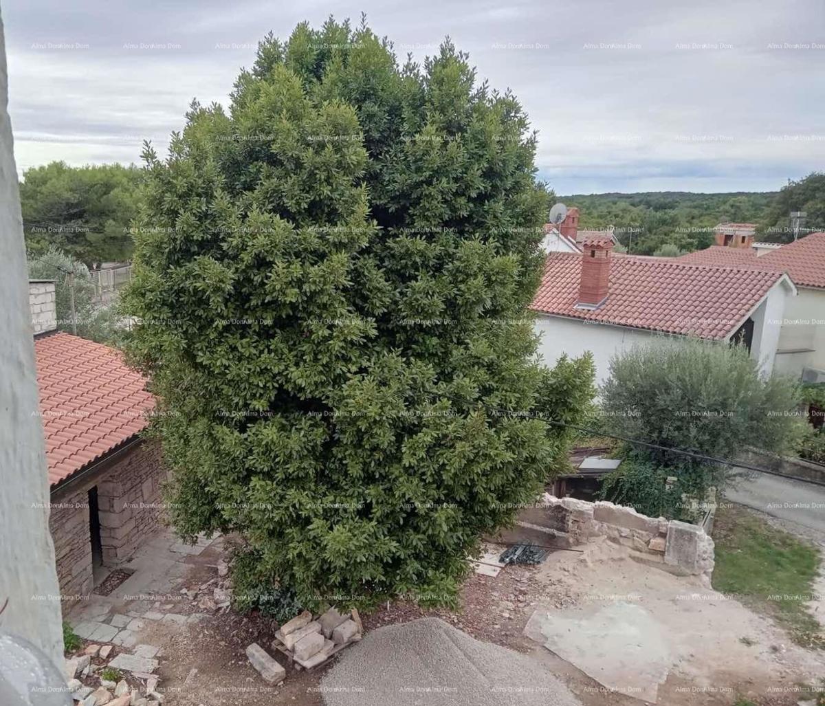 In vendita casa con cantina in fase di ristrutturazione, Krnica!