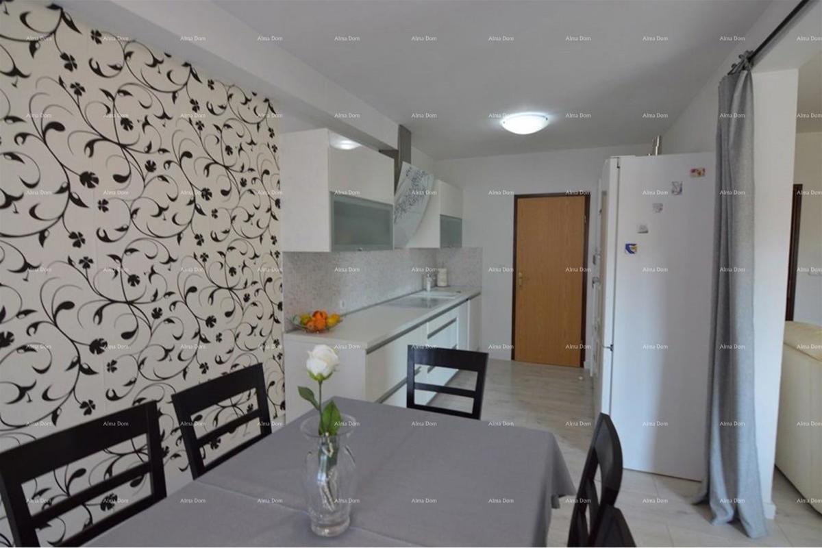 Prostrano stan s dvorištem, Tar