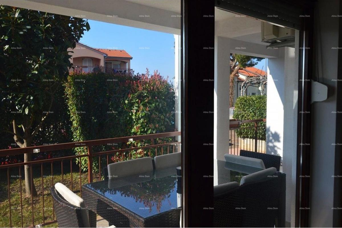 Prostrano stan s dvorištem, Tar