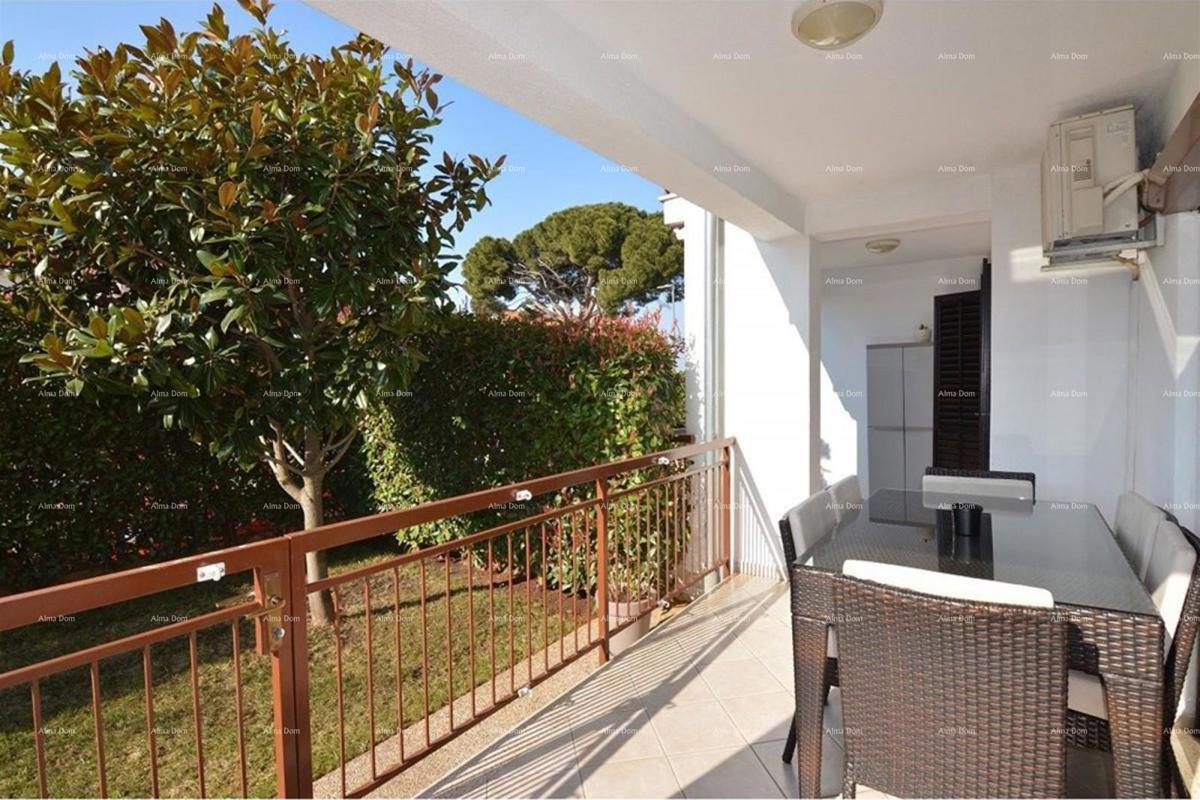 Prostrano stan s dvorištem, Tar