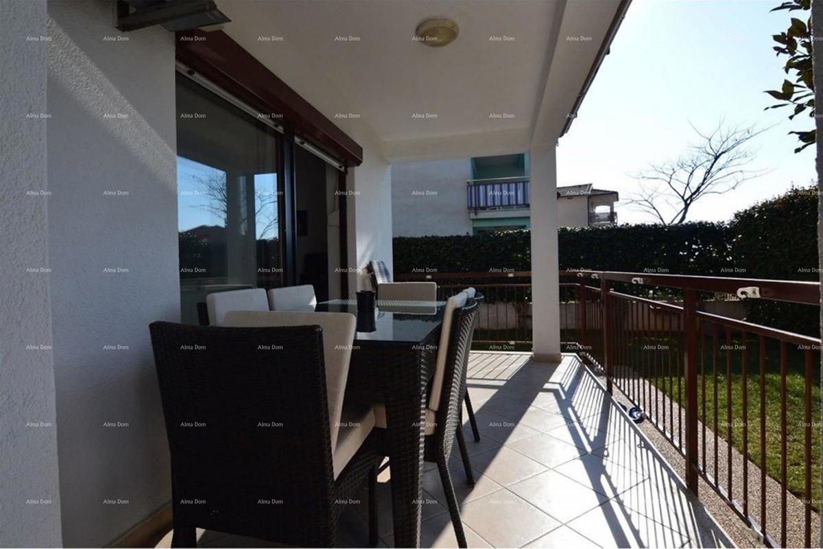 Prostrano stan s dvorištem, Tar