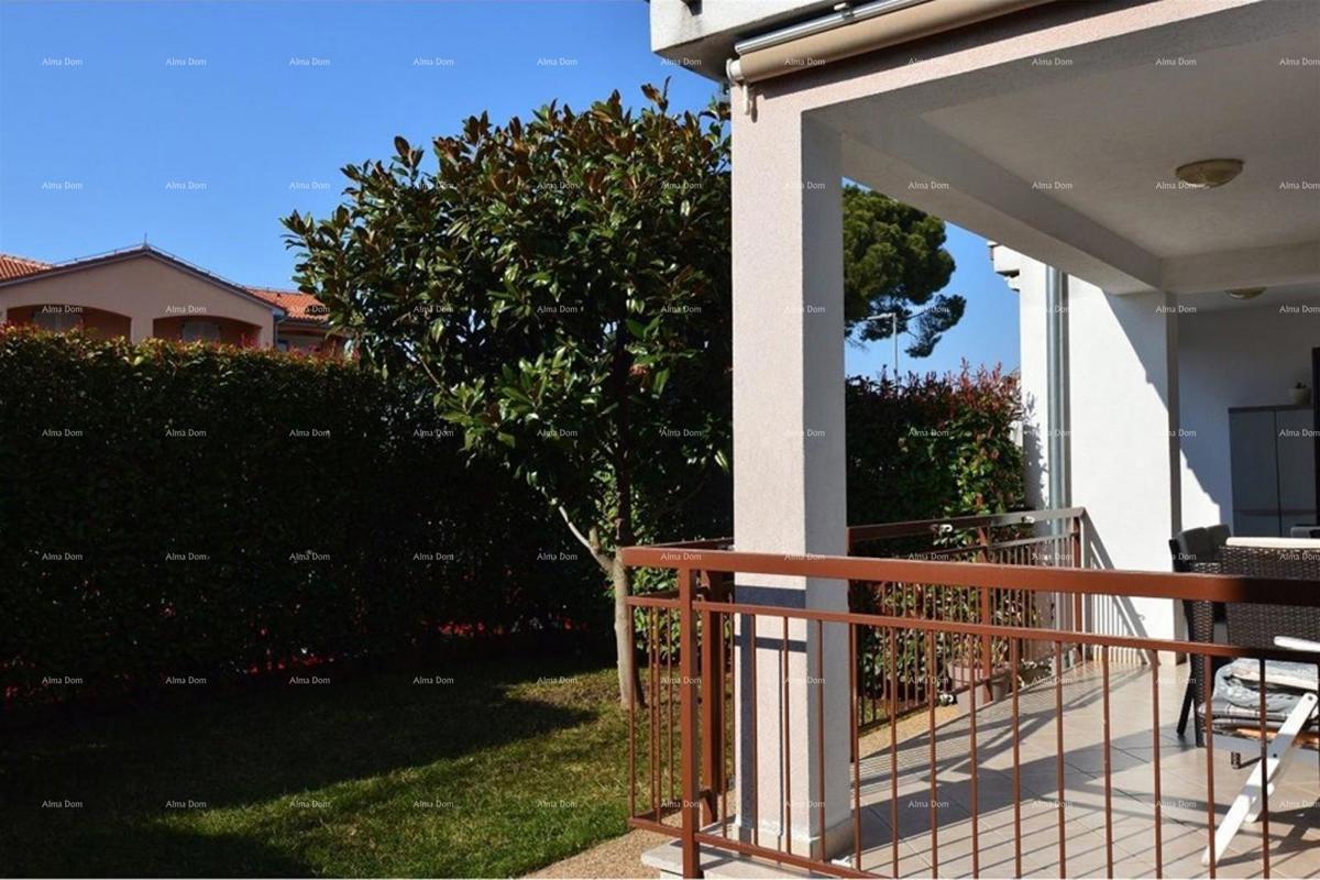 Prostrano stan s dvorištem, Tar