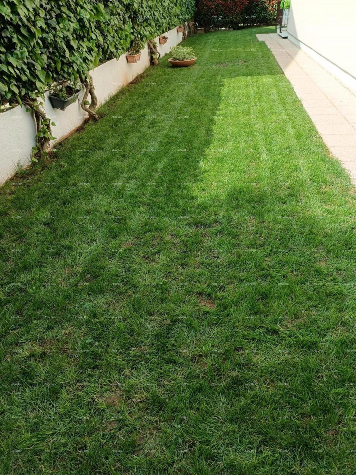 Prostrano stan s dvorištem, Tar