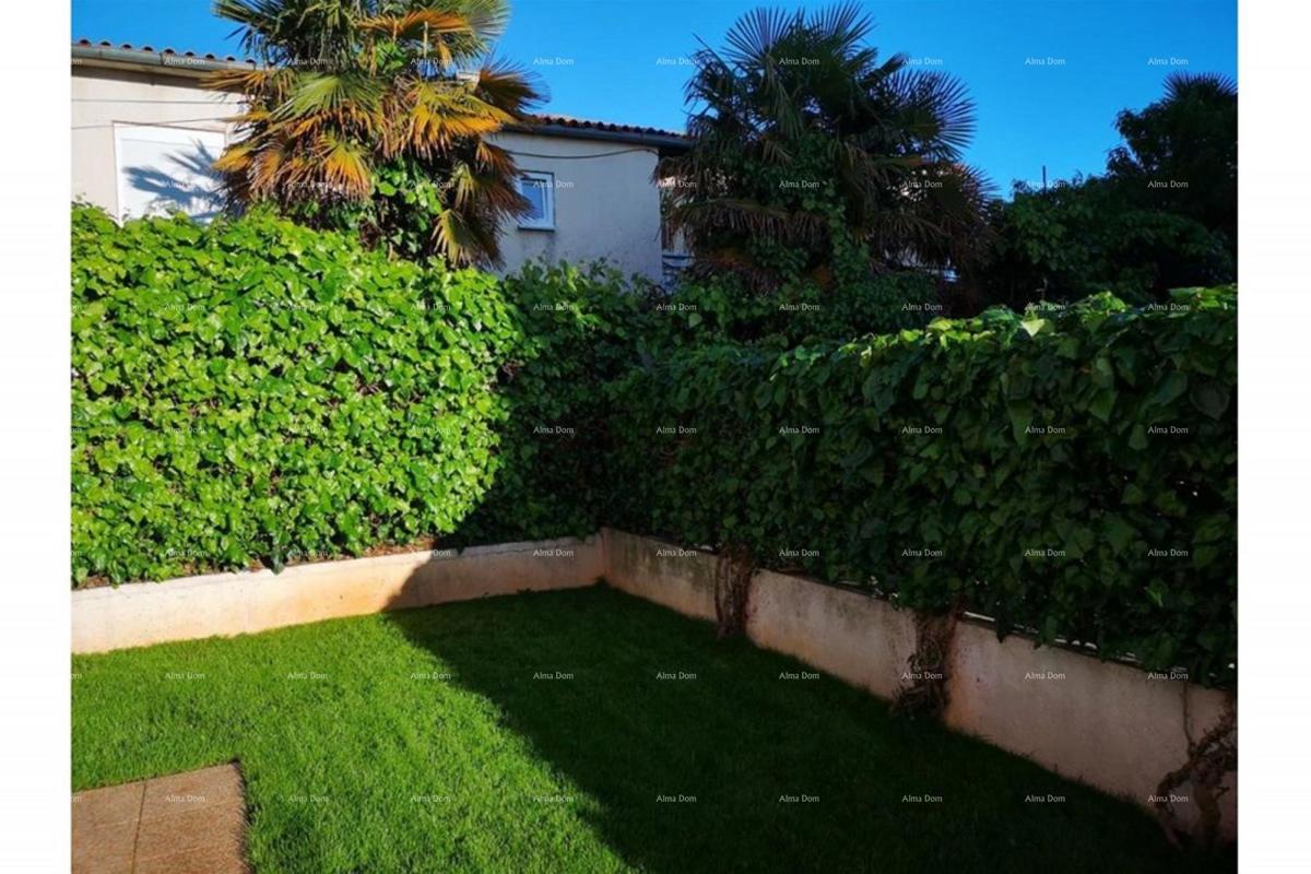 Prostrano stan s dvorištem, Tar