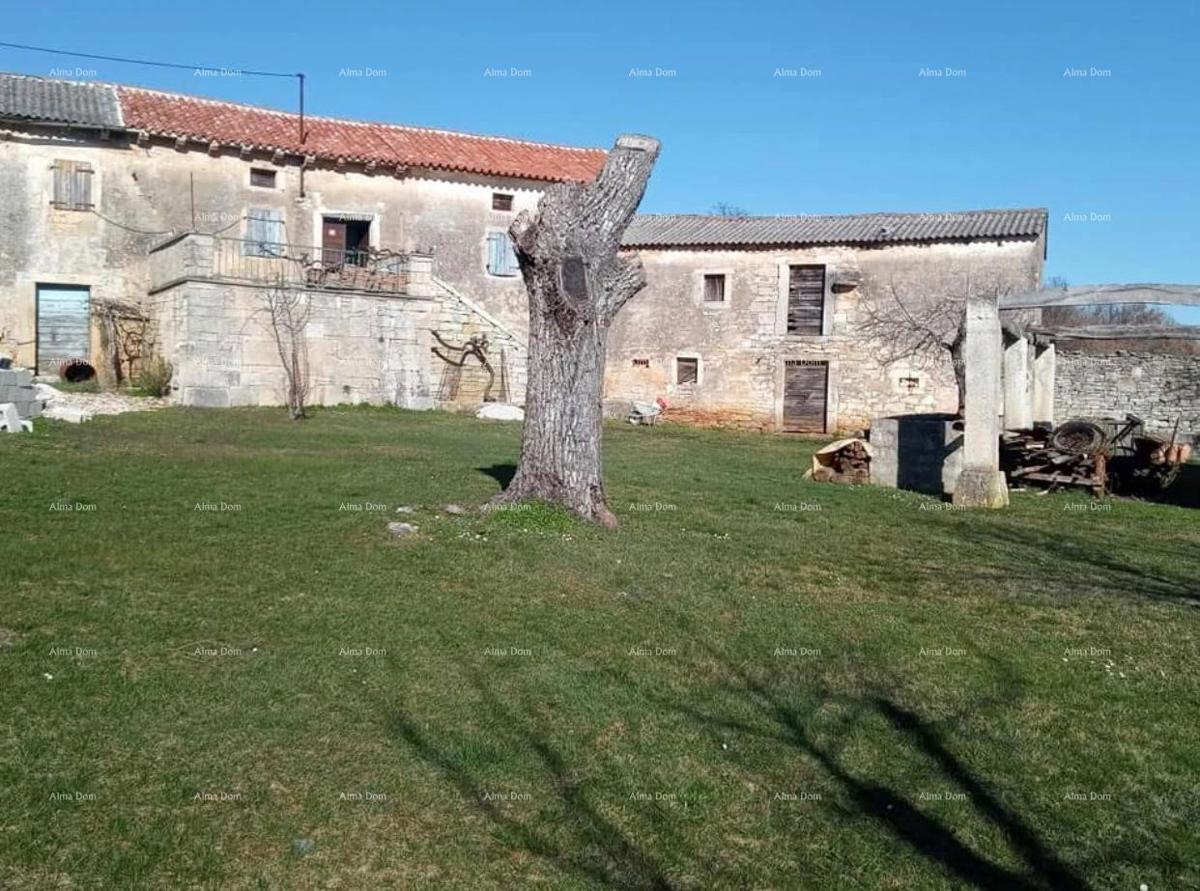 Pazin, Istria - due vecchie case in pietra con ampio terreno