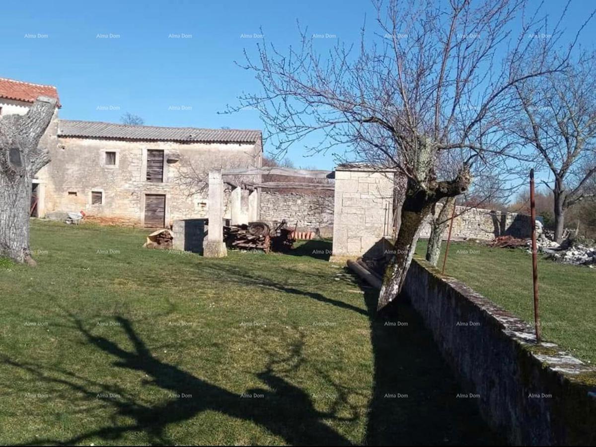 Pazin, Istria - due vecchie case in pietra con ampio terreno