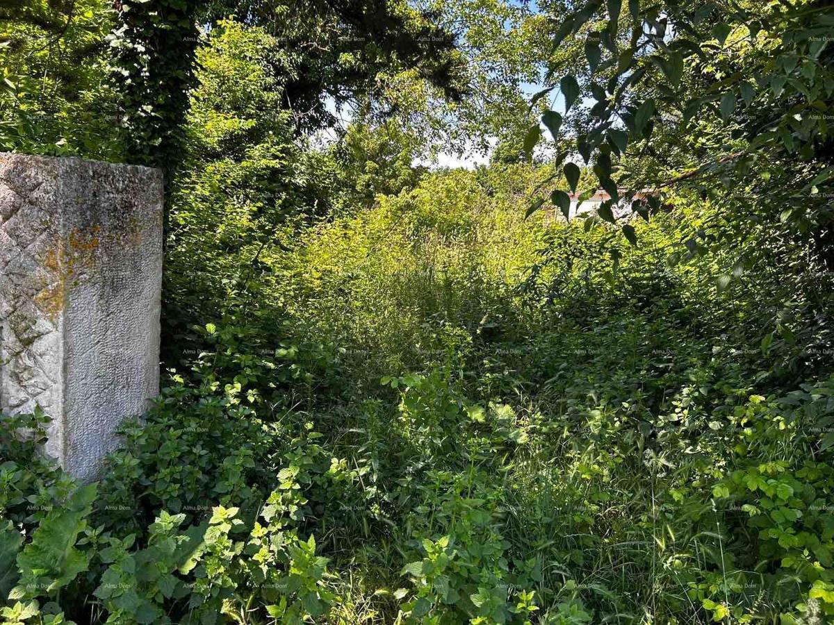 Casa in vendita con terreno vicino a Barban!