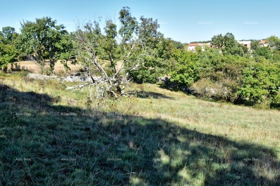 Terreno edificabile Svetvinčenat